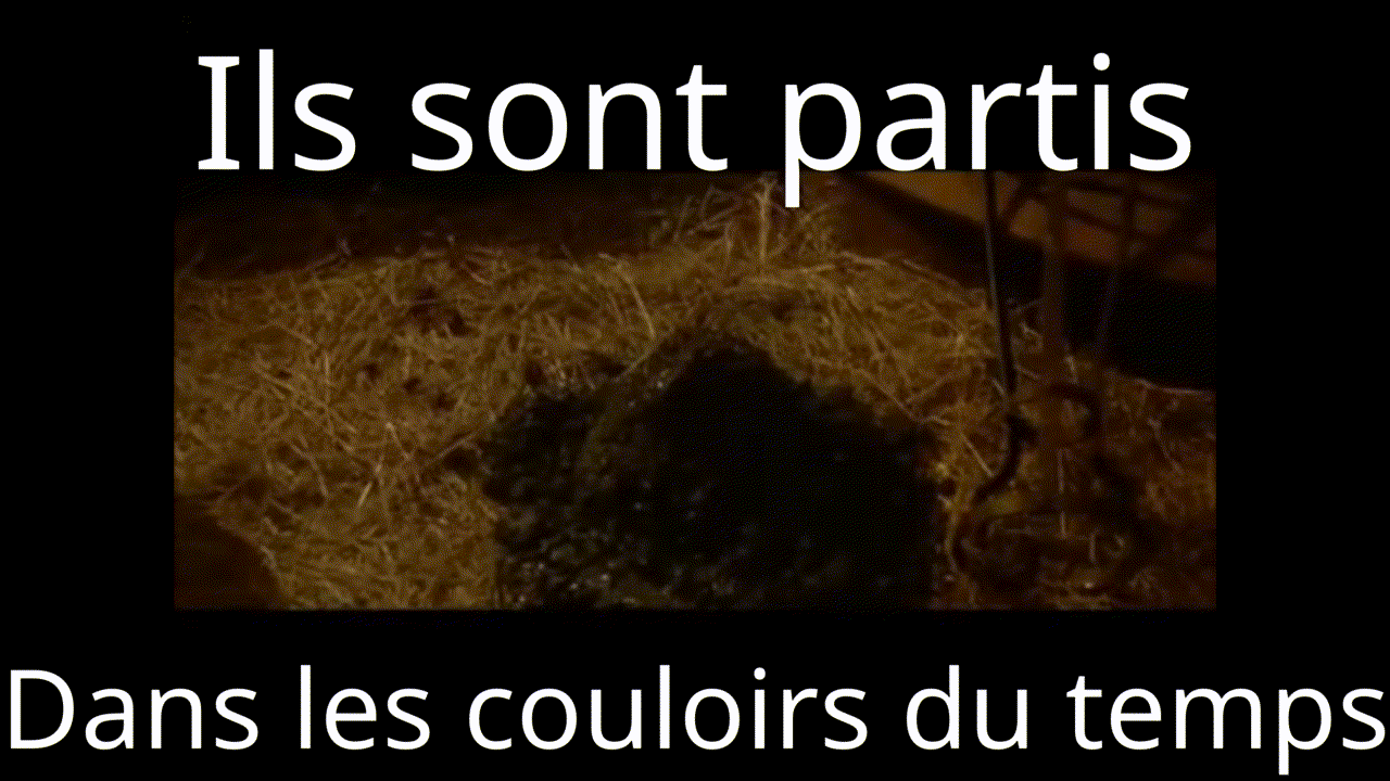 Ils sont parties dans les couloirs du temps